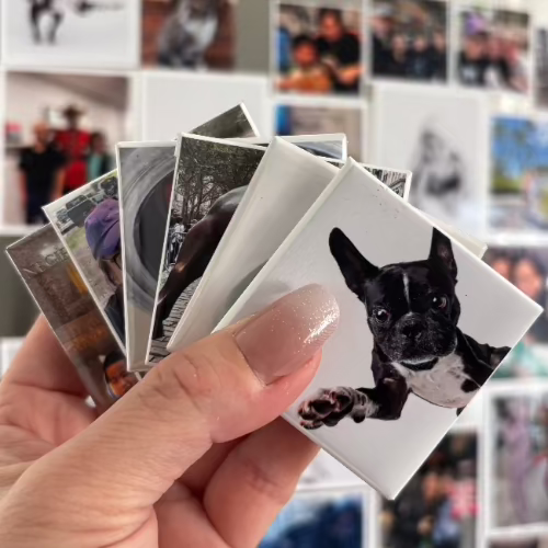 Fridge Magnets