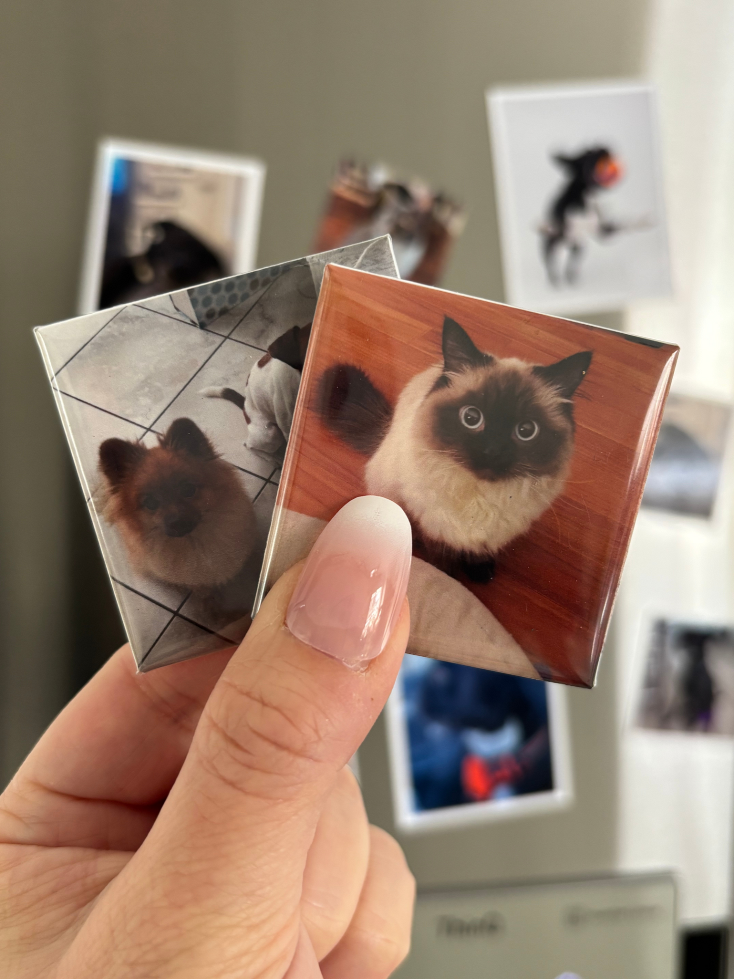 Button Magnets 2x2 in - Set of 6