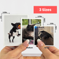 Photo Magnets [Set of 12]