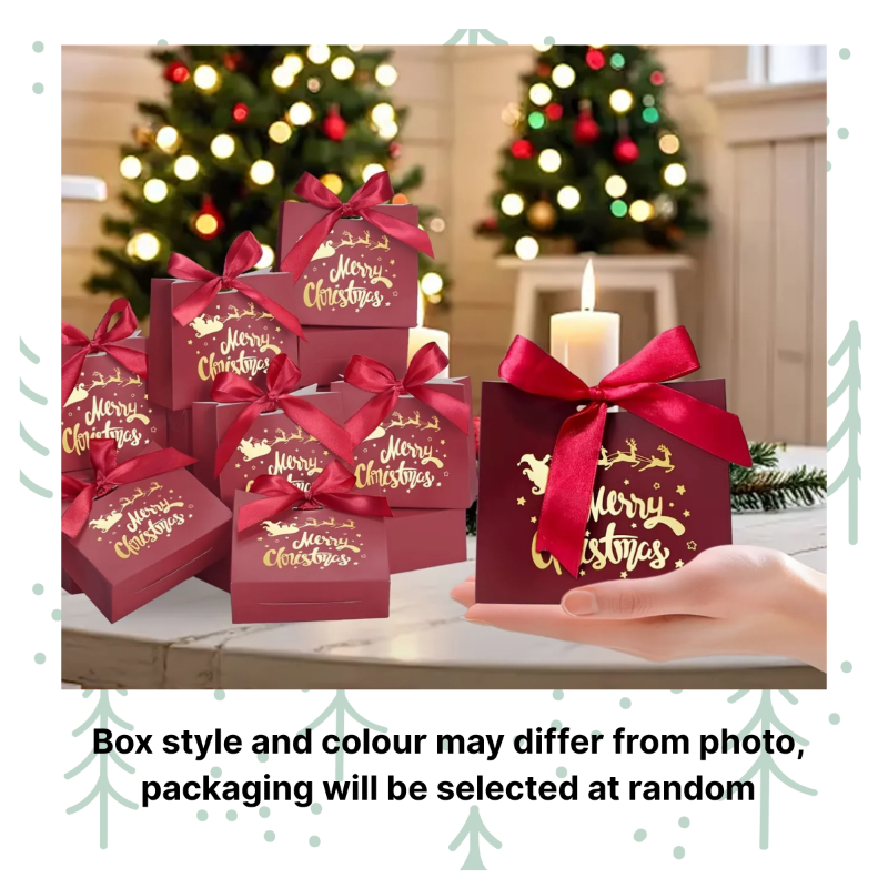 Photo Magnets [Set of 12]