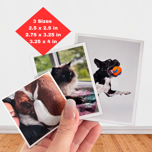 Customized Photo Magnets