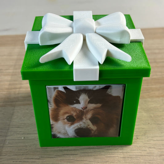 The Keepsake Box in green with a dog photo magnet on the front