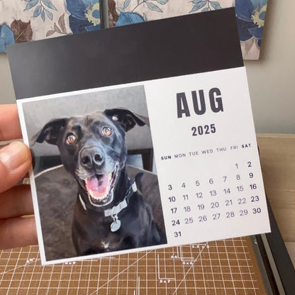 Magnet Calendar [Set of 12]