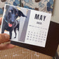 Magnet Calendar [Set of 12]