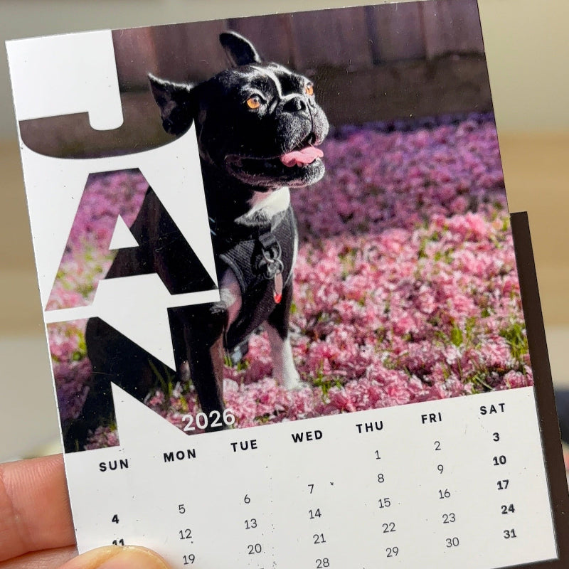 Magnet Calendar [Set of 12]