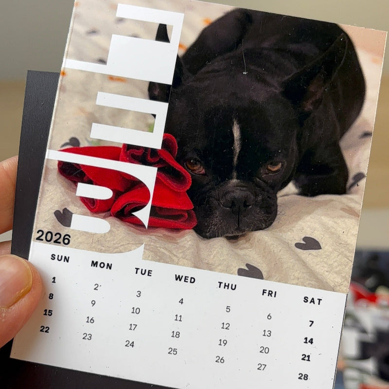Magnet Calendar [Set of 12]