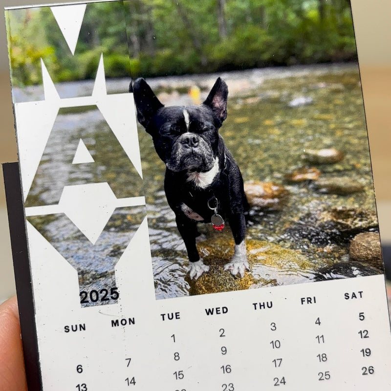 Magnet Calendar [Set of 12]