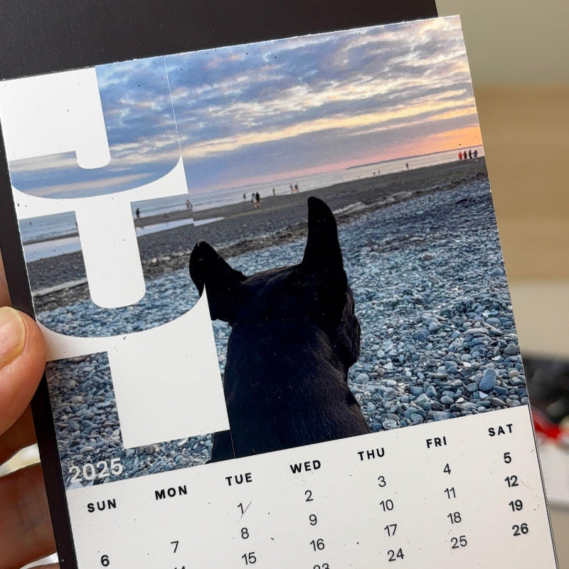 Magnet Calendar [Set of 12]